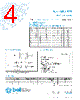 5TTP500-R Datasheet HTML 4Page - Bel Fuse Inc. 