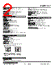 LCY-113W-R Datasheet HTML 2Page - M-System Co.,Ltd. 