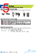 SRAD2 Datasheet HTML 5Page - Apex Electronics Co., Ltd 