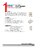 DWB-UJS-R2S-1 Datasheet HTML 1Page - DOMINANT Semiconductors 
