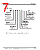 JN2DS10SL3-R Datasheet HTML 7Page - Japan Aviation Electronics Industry, Ltd. 